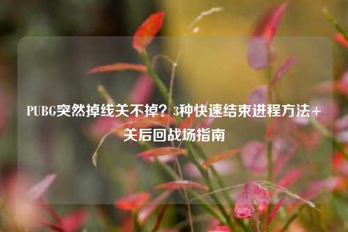 PUBG突然掉线关不掉？3种快速结束进程方法+关后回战场指南
