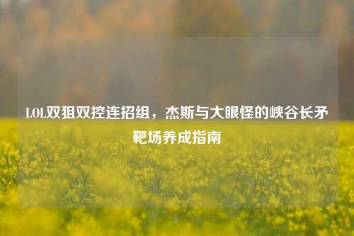 LOL双狙双控连招组，杰斯与大眼怪的峡谷长矛靶场养成指南