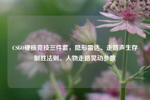 CSGO硬核竞技三件套，隐形雷达、走路声生存制胜法则、人物走路晃动参数