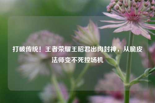 打破传统！王者荣耀王昭君出肉封神，从脆皮法师变不死控场机