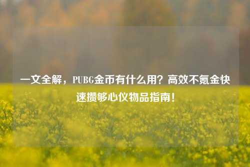 一文全解，PUBG金币有什么用？高效不氪金快速攒够心仪物品指南！