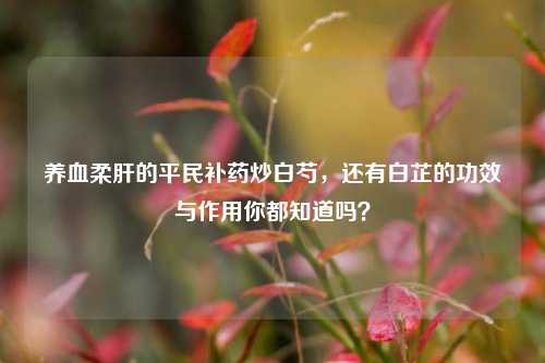 养血柔肝的平民补药炒白芍，还有白芷的功效与作用你都知道吗？