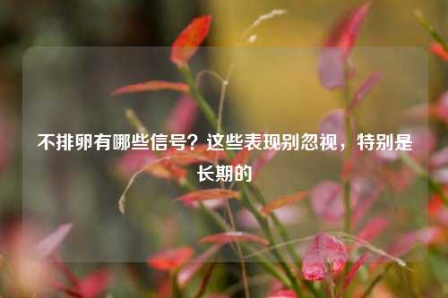 不排卵有哪些信号？这些表现别忽视，特别是长期的
