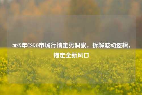 202X年CSGO市场行情走势洞察，拆解波动逻辑，锚定全新风口