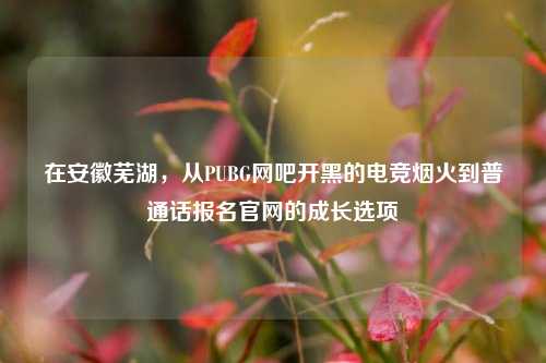 在安徽芜湖，从PUBG网吧开黑的电竞烟火到普通话报名官网的成长选项