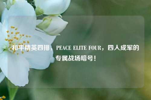 和平精英四排，PEACE ELITE FOUR，四人成军的专属战场暗号！