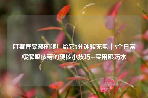 盯着屏幕熬的眼！给它3分钟软充电｜5个日常缓解眼疲劳的硬核小技巧+实用眼药水