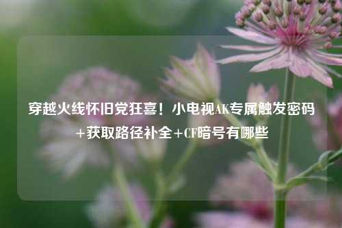 穿越火线怀旧党狂喜！小电视AK专属触发密码+获取路径补全+CF暗号有哪些