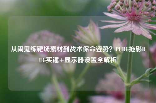 从闹鬼练靶场素材到战术保命姿势？PUBG拖影BUG实锤+显示器设置全解析