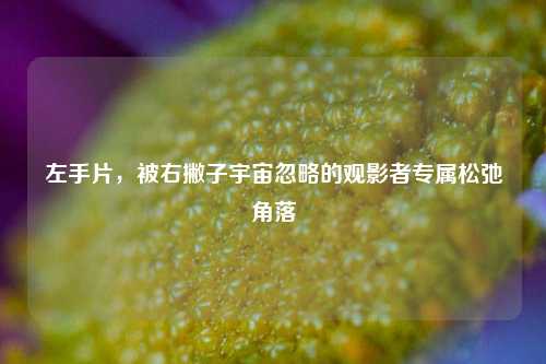 左手片，被右撇子宇宙忽略的观影者专属松弛角落
