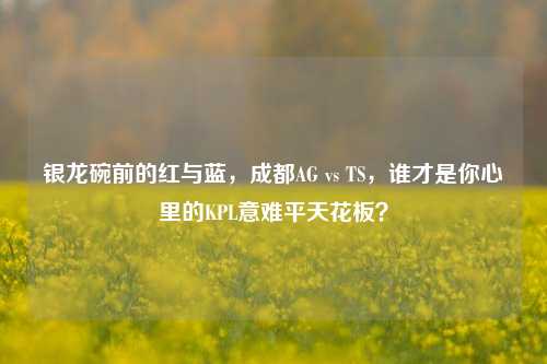 银龙碗前的红与蓝，成都AG vs TS，谁才是你心里的KPL意难平天花板？