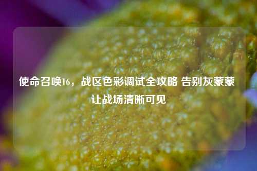 使命召唤16，战区色彩调试全攻略 告别灰蒙蒙 让战场清晰可见