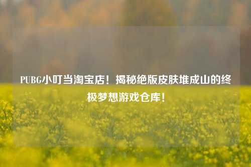 PUBG小叮当 *** 店！揭秘绝版皮肤堆成山的终极梦想游戏仓库！