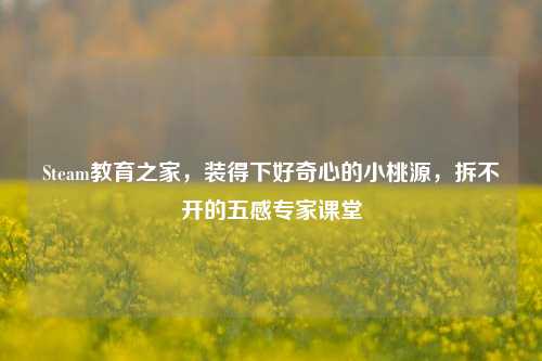 Steam教育之家，装得下好奇心的小桃源，拆不开的五感专家课堂