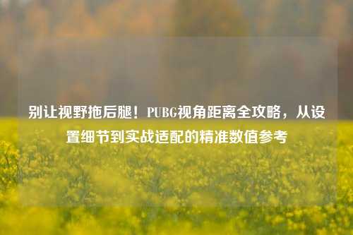 别让视野拖后腿！PUBG视角距离全攻略，从设置细节到实战适配的精准数值参考