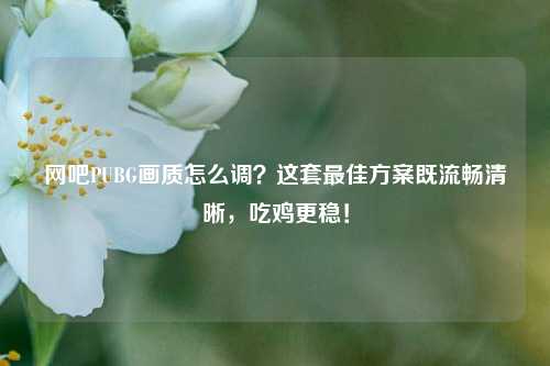 网吧PUBG画质怎么调？这套最佳方案既流畅清晰，吃鸡更稳！