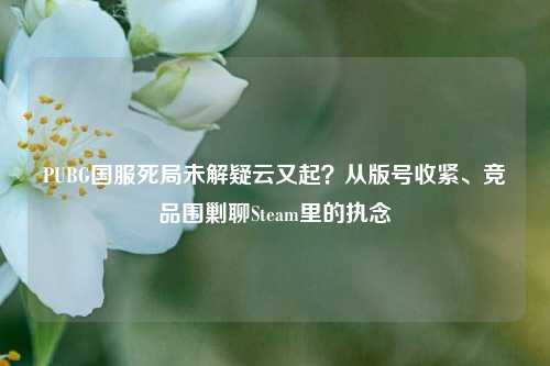 PUBG国服死局未解疑云又起？从版号收紧、竞品围剿聊Steam里的执念