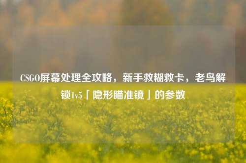 CSGO屏幕处理全攻略，新手救糊救卡，老鸟解锁1v5「隐形瞄准镜」的参数