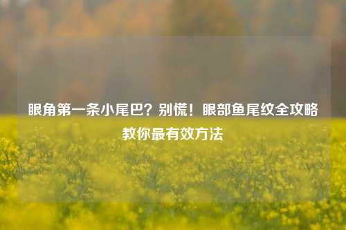 眼角之一条小尾巴？别慌！眼部鱼尾纹全攻略教你最有效 *** 