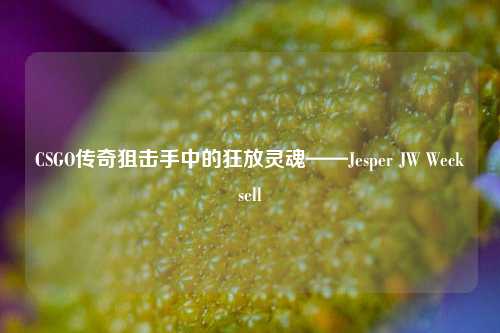 CSGO传奇狙击手中的狂放灵魂——Jesper JW Wecksell