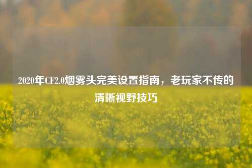2020年CF2.0烟雾头完美设置指南，老玩家不传的清晰视野技巧
