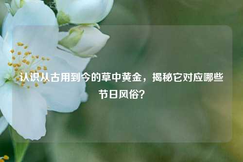 认识从古用到今的草中黄金，揭秘它对应哪些节日风俗？