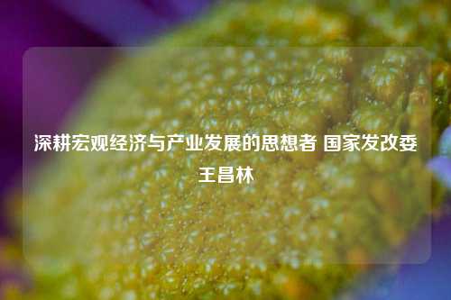 深耕宏观经济与产业发展的思想者 国家发改委王昌林