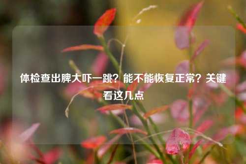 体检查出脾大吓一跳？能不能恢复正常？关键看这几点
