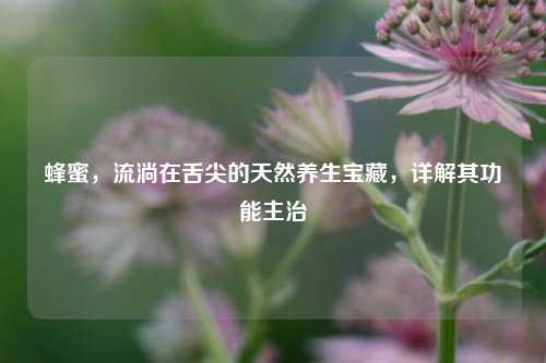 蜂蜜，流淌在舌尖的天然养生宝藏，详解其功能主治