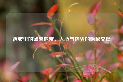 褶皱里的敏感地带，人心与边界的隐秘交锋
