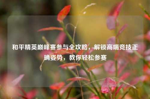 和平精英巅峰赛参与全攻略，解锁高端竞技正确姿势，教你轻松参赛