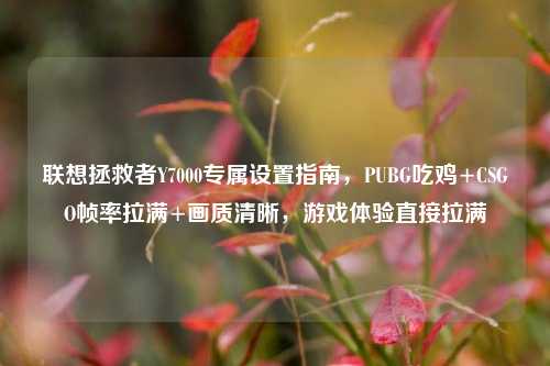 联想拯救者Y7000专属设置指南，PUBG吃鸡+CSGO帧率拉满+画质清晰，游戏体验直接拉满