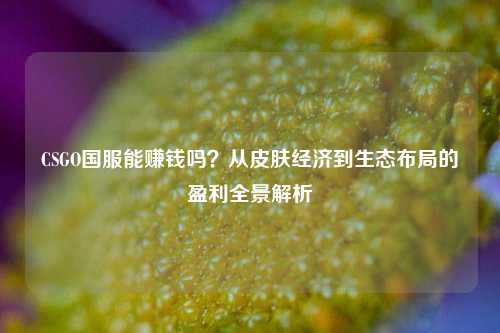 CSGO国服能赚钱吗？从皮肤经济到生态布局的盈利全景解析