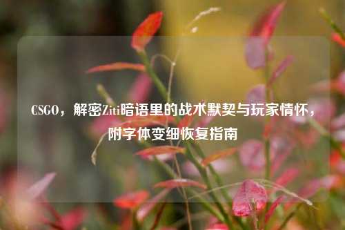 CSGO，解密Ziti暗语里的战术默契与玩家情怀，附字体变细恢复指南