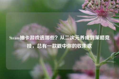 Steam抽卡游戏选哪些？从二次元养成到策略竞技，总有一款戳中你的收集欲