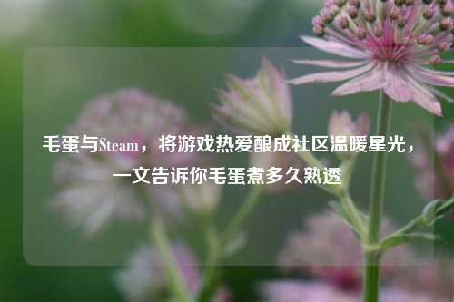 毛蛋与Steam，将游戏热爱酿成社区温暖星光，一文告诉你毛蛋煮多久熟透
