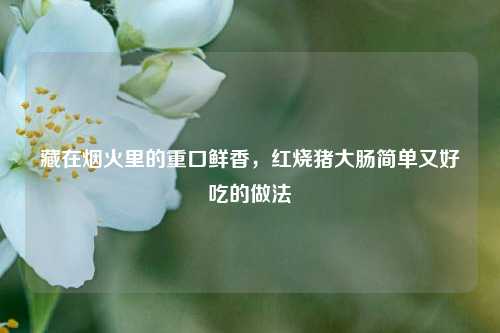 藏在烟火里的重口鲜香，红烧猪大肠简单又好吃的做法
