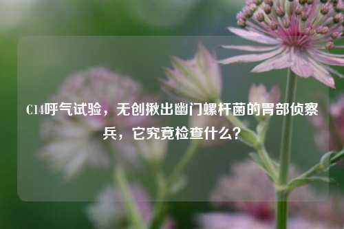 C14呼气试验，无创揪出幽门螺杆菌的胃部侦察兵，它究竟检查什么？