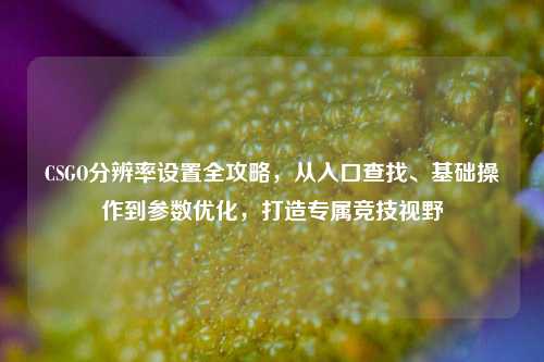 CSGO分辨率设置全攻略，从入口查找、基础操作到参数优化，打造专属竞技视野