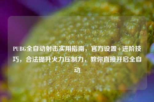 PUBG全自动射击实用指南，官方设置+进阶技巧，合法提升火力压制力，教你直接开启全自动