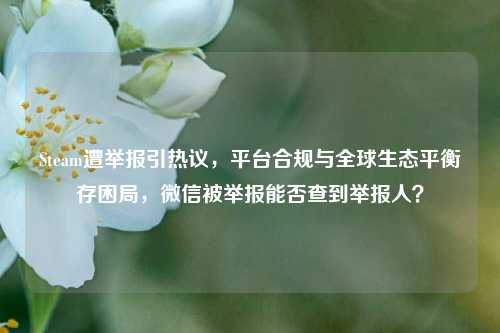Steam遭举报引热议，平台合规与全球生态平衡存困局，微信被举报能否查到举报人？
