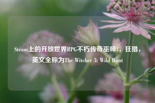 Steam上的开放世界RPG不朽传奇巫师3，狂猎，英文全称为The Witcher 3: Wild Hunt