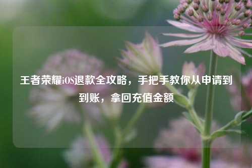 王者荣耀iOS退款全攻略，手把手教你从申请到到账，拿回充值金额
