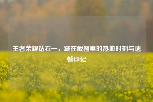 王者荣耀钻石一，藏在截图里的热血时刻与遗憾印记