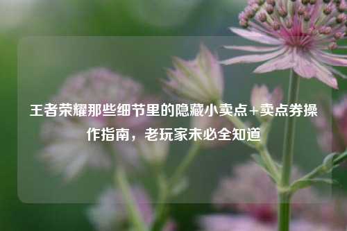 王者荣耀那些细节里的隐藏小卖点+卖点券操作指南，老玩家未必全知道