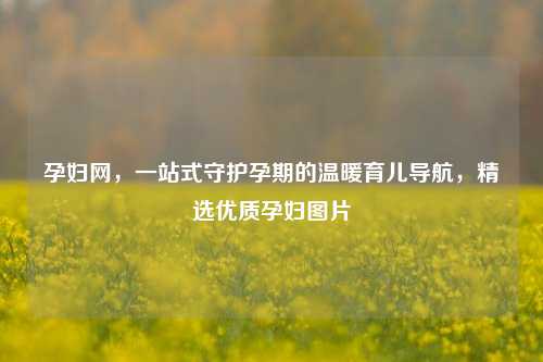 孕妇网，一站式守护孕期的温暖育儿导航，精选优质孕妇图片