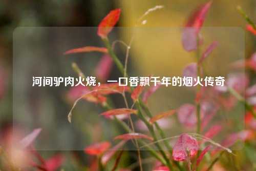 河间驴肉火烧，一口香飘千年的烟火传奇