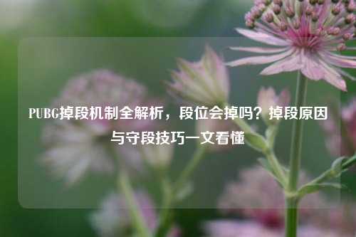 PUBG掉段机制全解析，段位会掉吗？掉段原因与守段技巧一文看懂