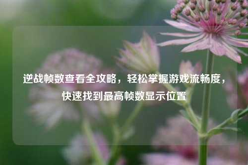 逆战帧数查看全攻略，轻松掌握游戏流畅度，快速找到最高帧数显示位置