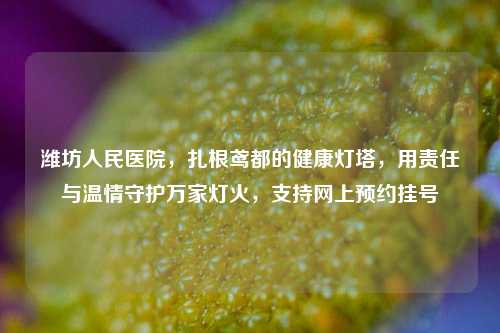 潍坊人民医院，扎根鸢都的健康灯塔，用责任与温情守护万家灯火，支持网上预约挂号